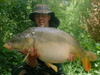 monster carp