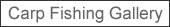 carp fishing gallery