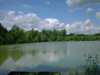 Utopia - the perfect setting for carp fishing in france