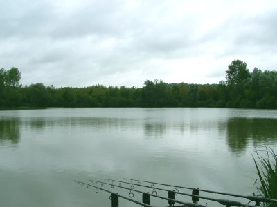 Peg 1