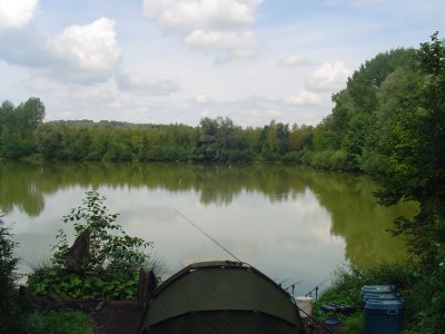Peg 2