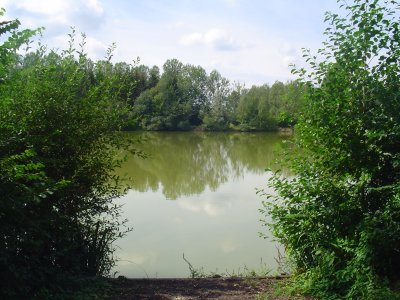 Peg 3