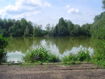 Peg 4
