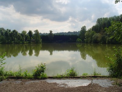 Peg 5
