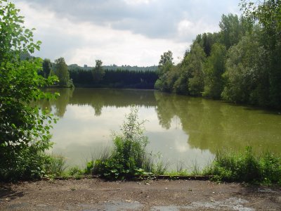 Peg 6