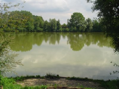 Peg 7