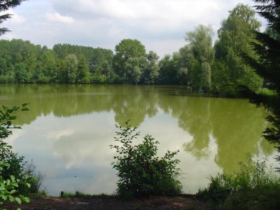 Peg 8